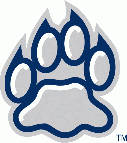 New Hampshire Wildcats 2000-Pres Alternate Logo v3 diy fabric transfer